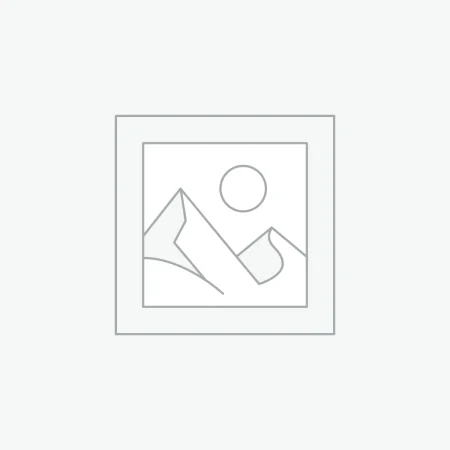 Vehicles Graphics